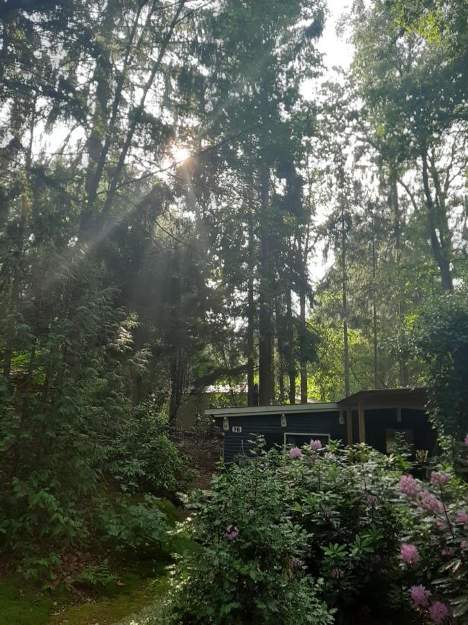 De Boshut Vledder Hotel Eksteriør billede